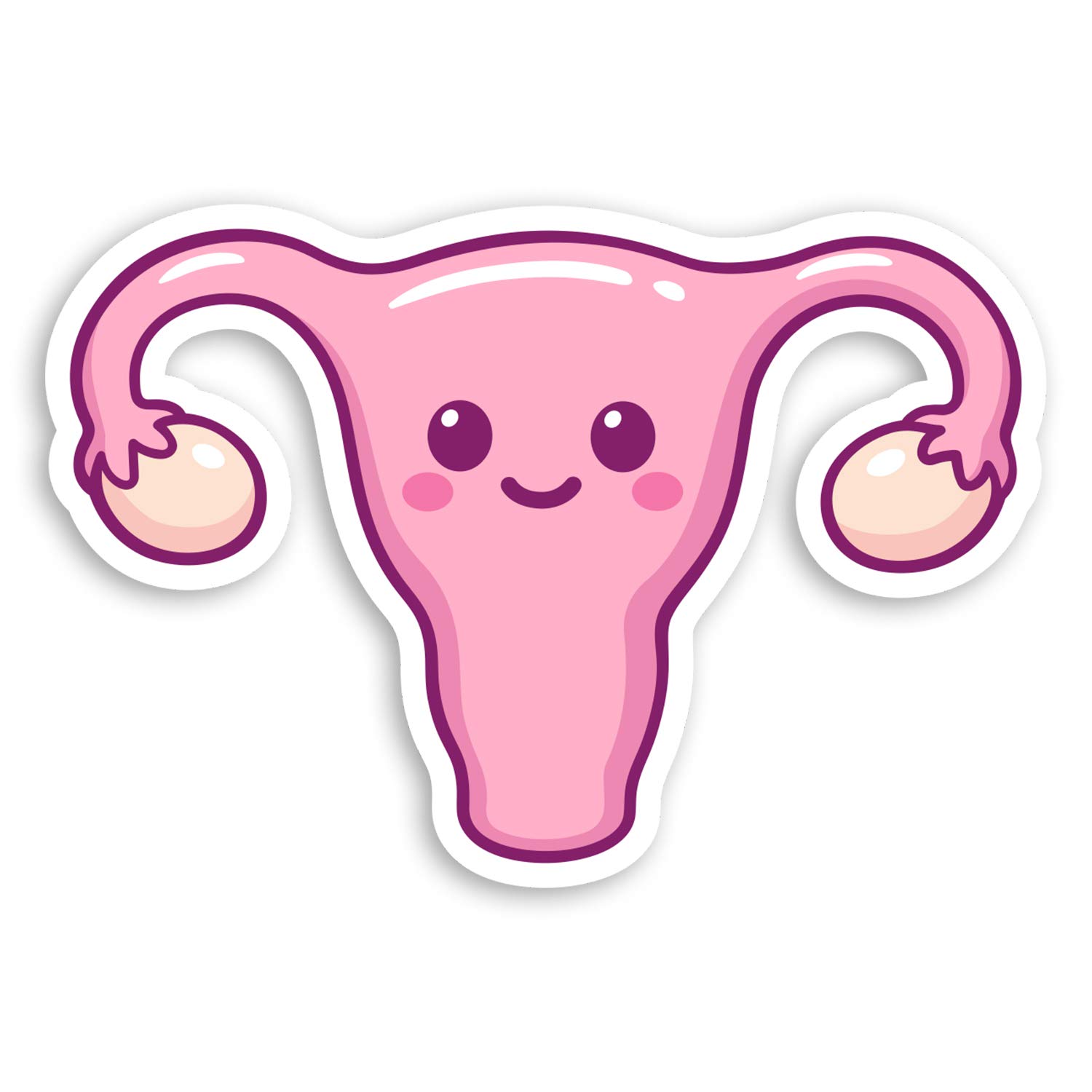 2 x 10cm Cartoon Uterus Vinyl Stickers - Female Biology Funny Sticker #29776