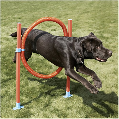 Rosewood 02494 Agility-Tunnel für Hunde