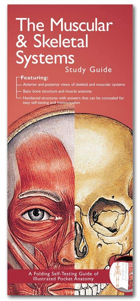 The Muscular & Skeletal Systems : Anatomical Chart Company: Amazon.co ...