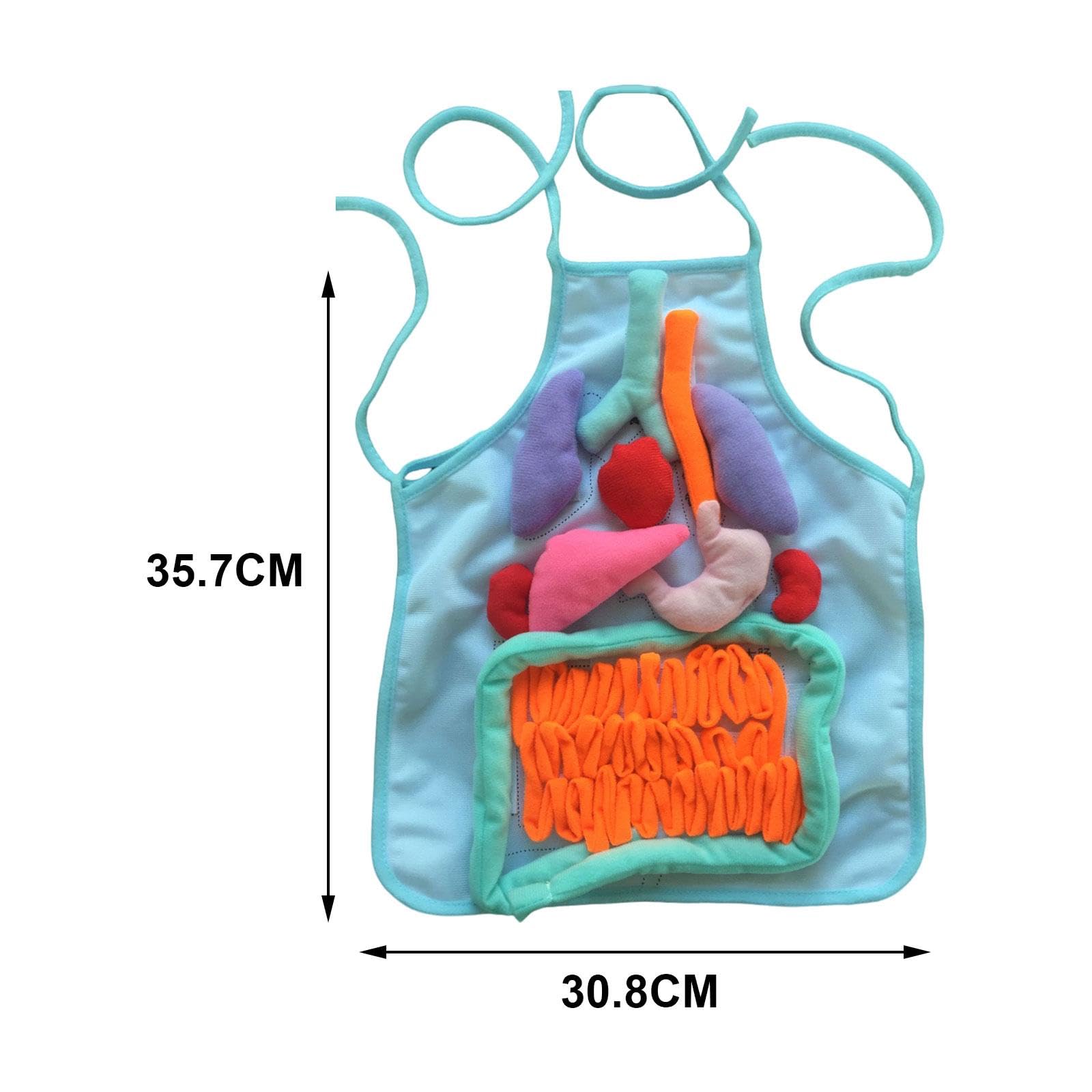 Sharplace Grembiule 3D con Organi per Bambini, Grembiule Didattico Tridimensionale del Corpo Umano, Modello di Organi Interni, per Scuola E Asilo Nido, Blu
