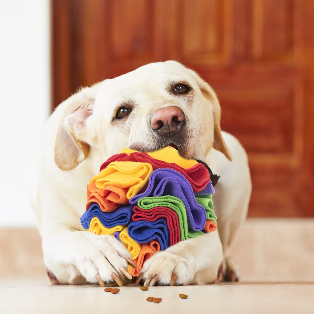 Palla da fiuto per cani, giocattolo interattivo, lavabile, antiodore, antistress 15 cm