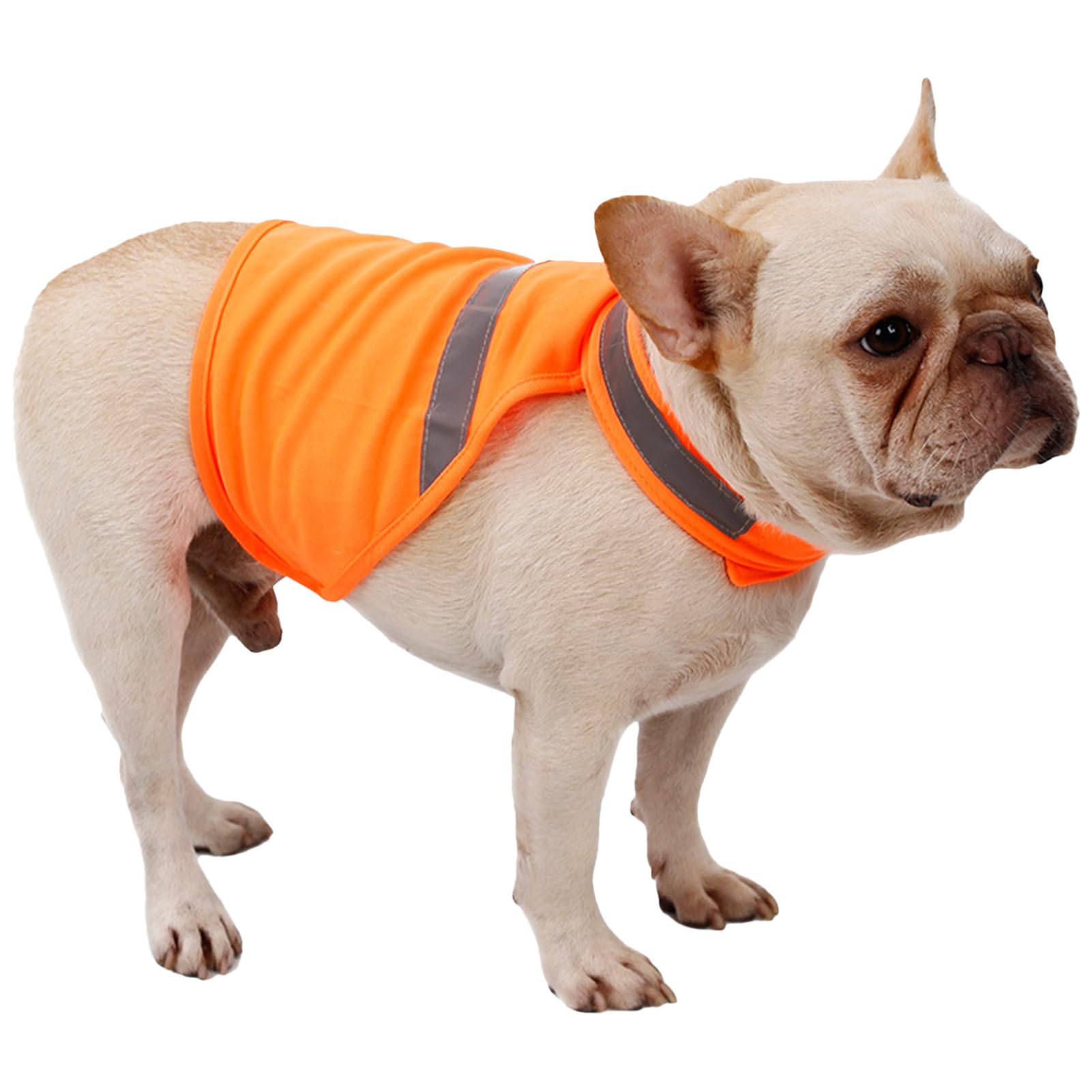 Gilet Réfléchissant pour Chien | Orange Fluorescent, Respirant et Confortable | Fournitures Légères pour Animaux de Compagnie