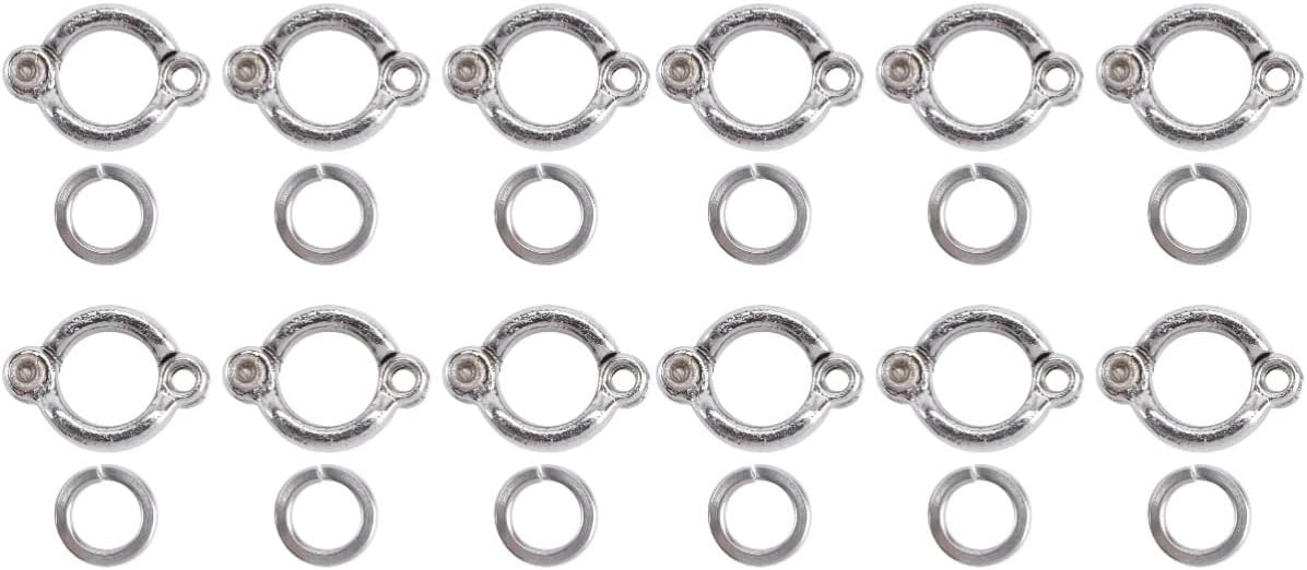 Stainless Steel Bird Leg Rings for Parrots and Pigeons - 6pcs U Shape Opening Clip Foot Bands(Silverx2pcs)