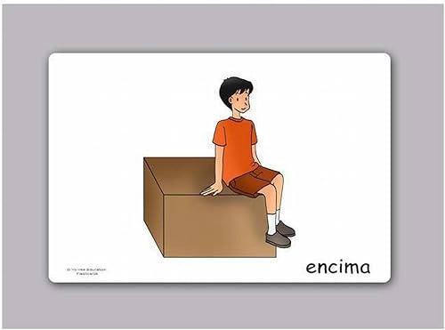 Miniatura 3 de Tarjetas de vocabulario - Preposiciones - Tarjetas de vocabulario - Tarjetas de vocabulario para el aprendizaje de idiomas