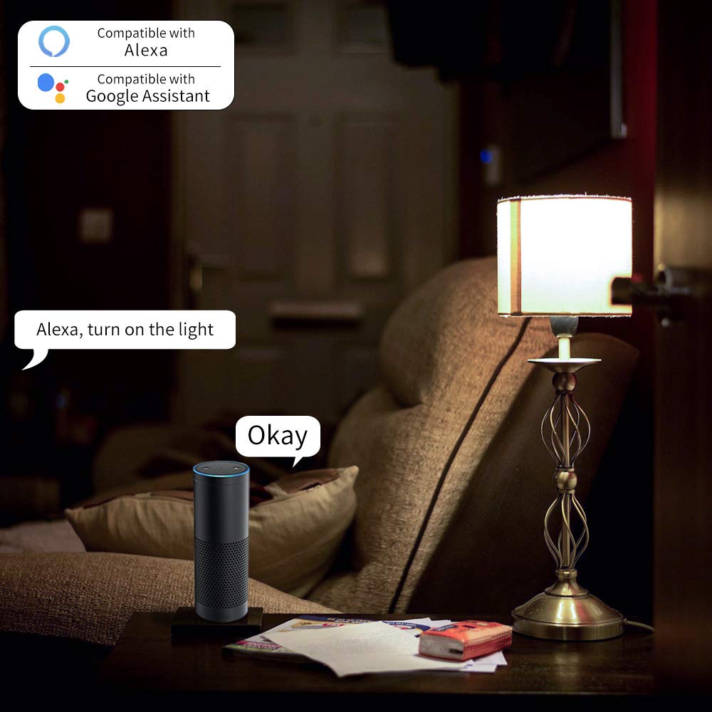 switches compatible with google home