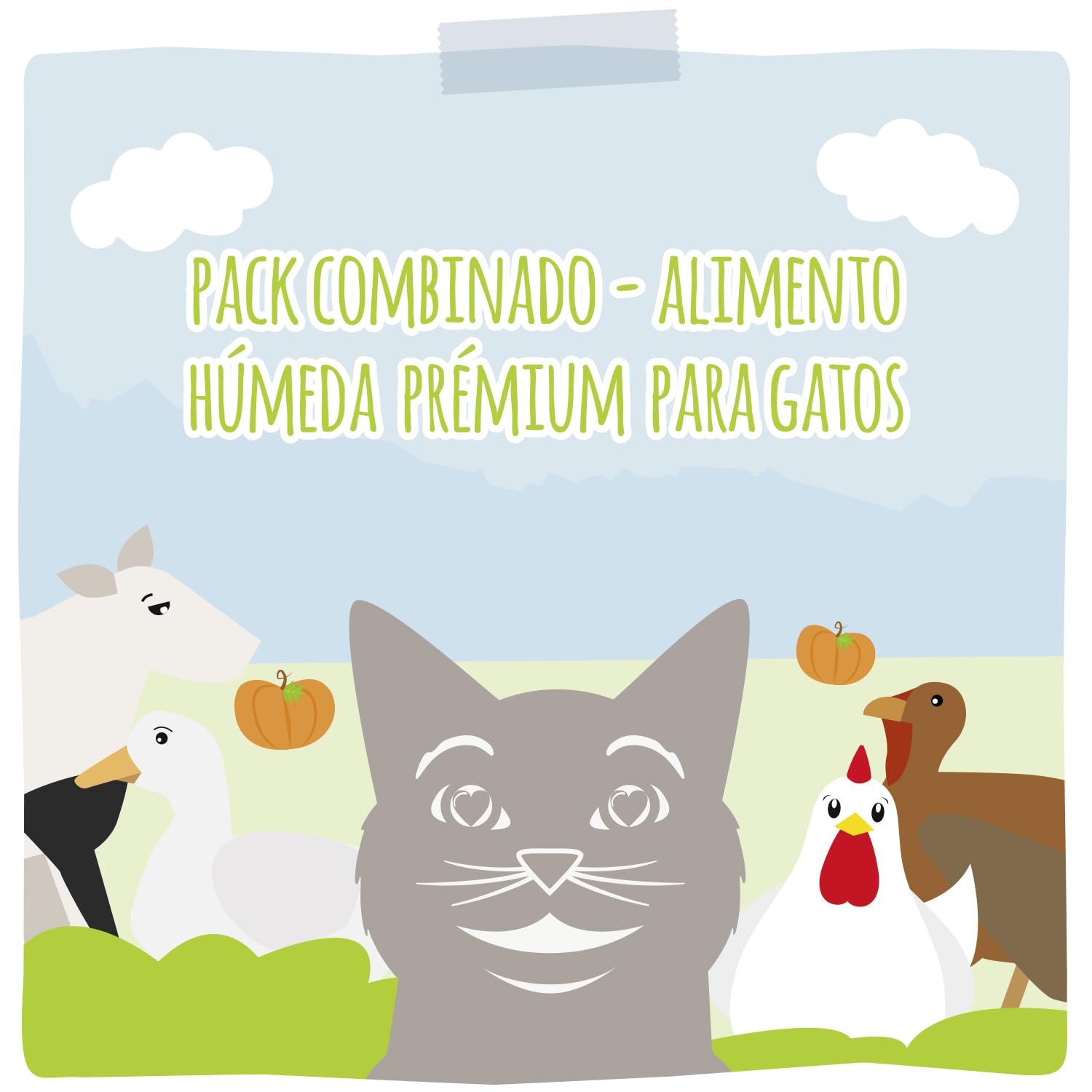 MjAMjAM - comida húmeda premium para gatos - paquete mixto III (6 x 400 g) - caza y conejo, pavo, pato y aves, corazones, pollo, ternera, sin cereales con carne extra