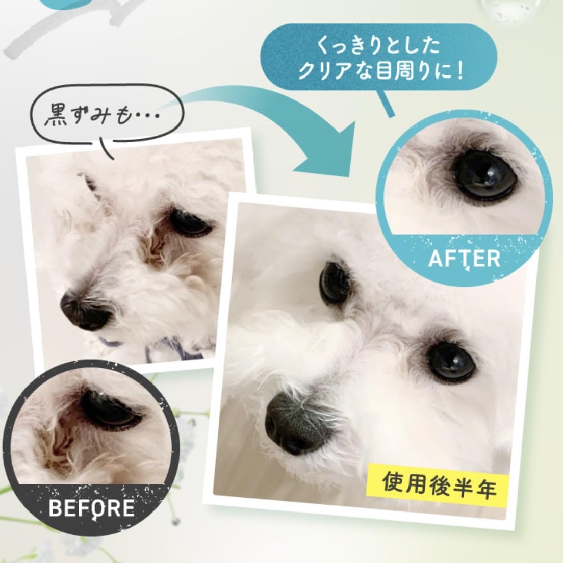 Amazon | 【獣医師監修・無添加・国内生産】涙やけ ケアウォーター