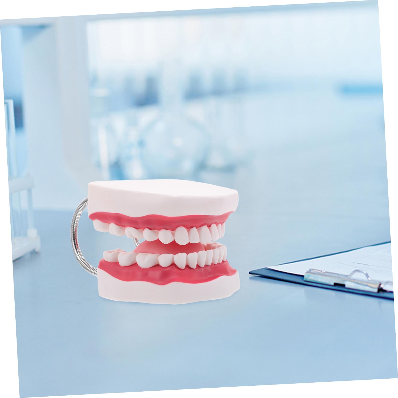 Modello Typodont Ingrandito Gengive e Lingua Realistico per Insegnamento e Ortodontica Portatile e Durevole per Formazione Odontoiatrica e Preparazione Esami
