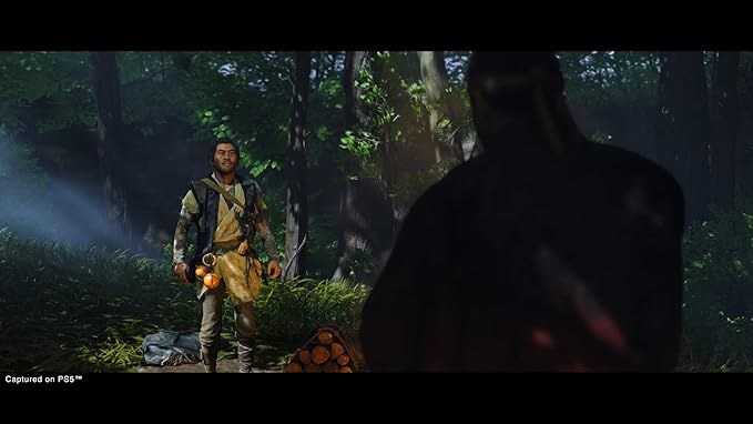 Ghost of Tsushima Versão Do Diretor - PlayStation 5