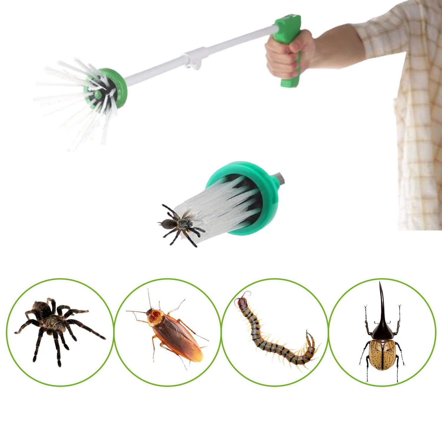 Attrape-Araignée À Long Manche, Pince Attrape Araignée Araignée Attrape Insectes Attraper Araignées