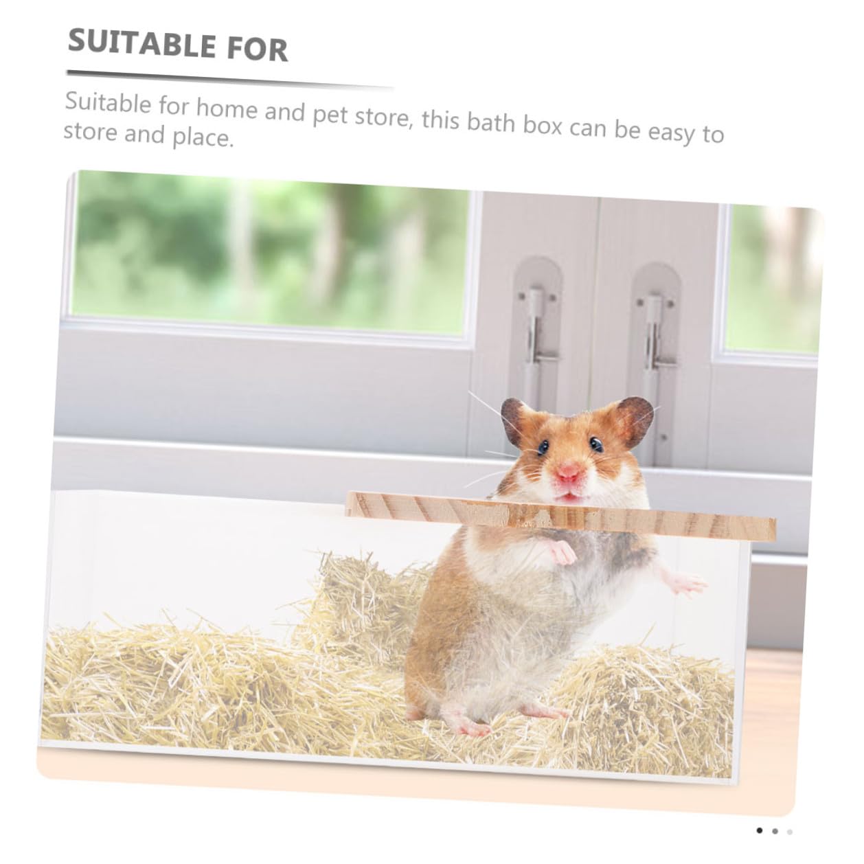 SHINEOFI Chinchilla Badewannen mit Glatter Oberfläche Durchsichtige 2 Stück aus Acryl Leicht und Robust für Hamster und Kleine Haustiere im Haushalt