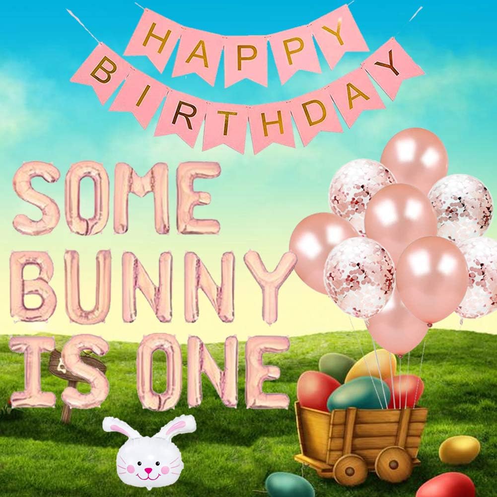 Some Bunny Is One First Birthday Party Supplies, Some Bunny is One Balloons Happy Birthday Banner for Spring Easter Rabbit Themed Baby Girls 1st Bday Baby Shower Decorations Set of 28 PCS