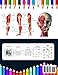Musculoskeletal Anatomy Coloring Book: Now you can learn and master the muscular system with ease while having fun. Kinesiology of the musculoskeletal system. Anatomy coloring book muscles. Muscle system anatomy coloring book.