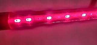 Review Image by SFields