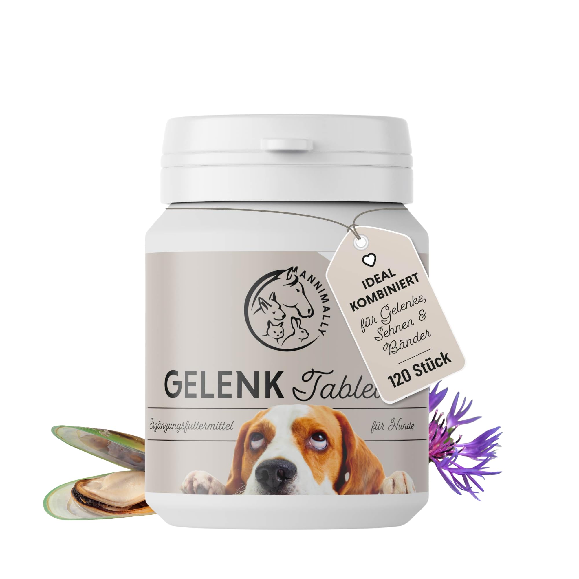 Gelenktabletten für Hunde mit MSM, Grünlippmuschel, Teufelskralle, Glucosamin & Hyaluron - 120 Gelenke Tabletten für Hunde - Hohe Akzeptanz beim Hund durch kleine Tabletten