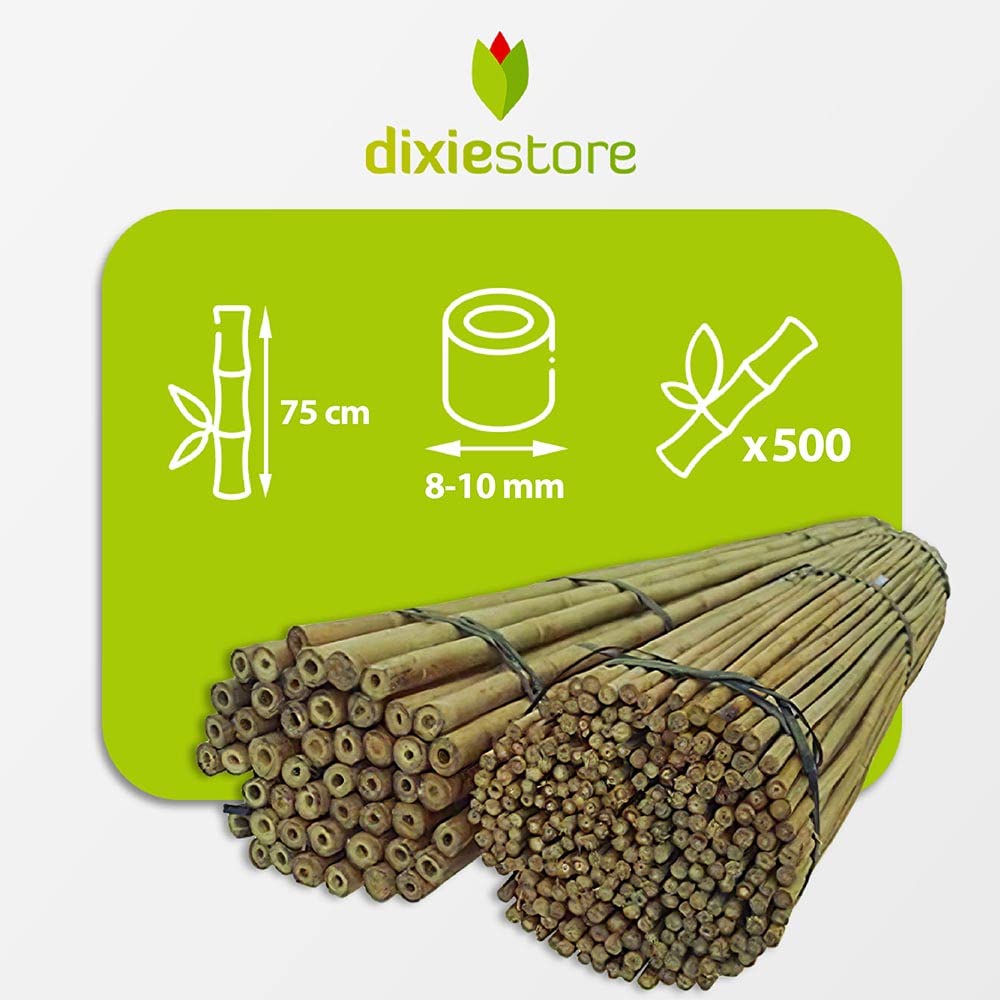 Dixiestore Baguettes en Bambou | Ensemble de Supports de Fleurs | Bâtonnets végétaux Robustes en Bambou, 75 cm x 8-10 mm, 500 pièces, Large Utilisation, Support de Plantes, Couleur Naturelle
