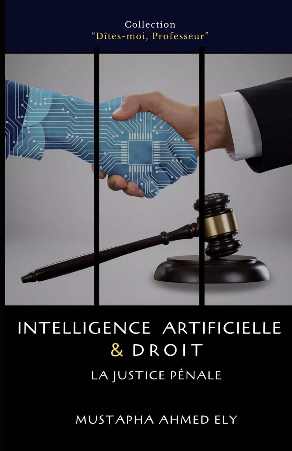 Intelligence artificielle et Droit: La Justice pénale