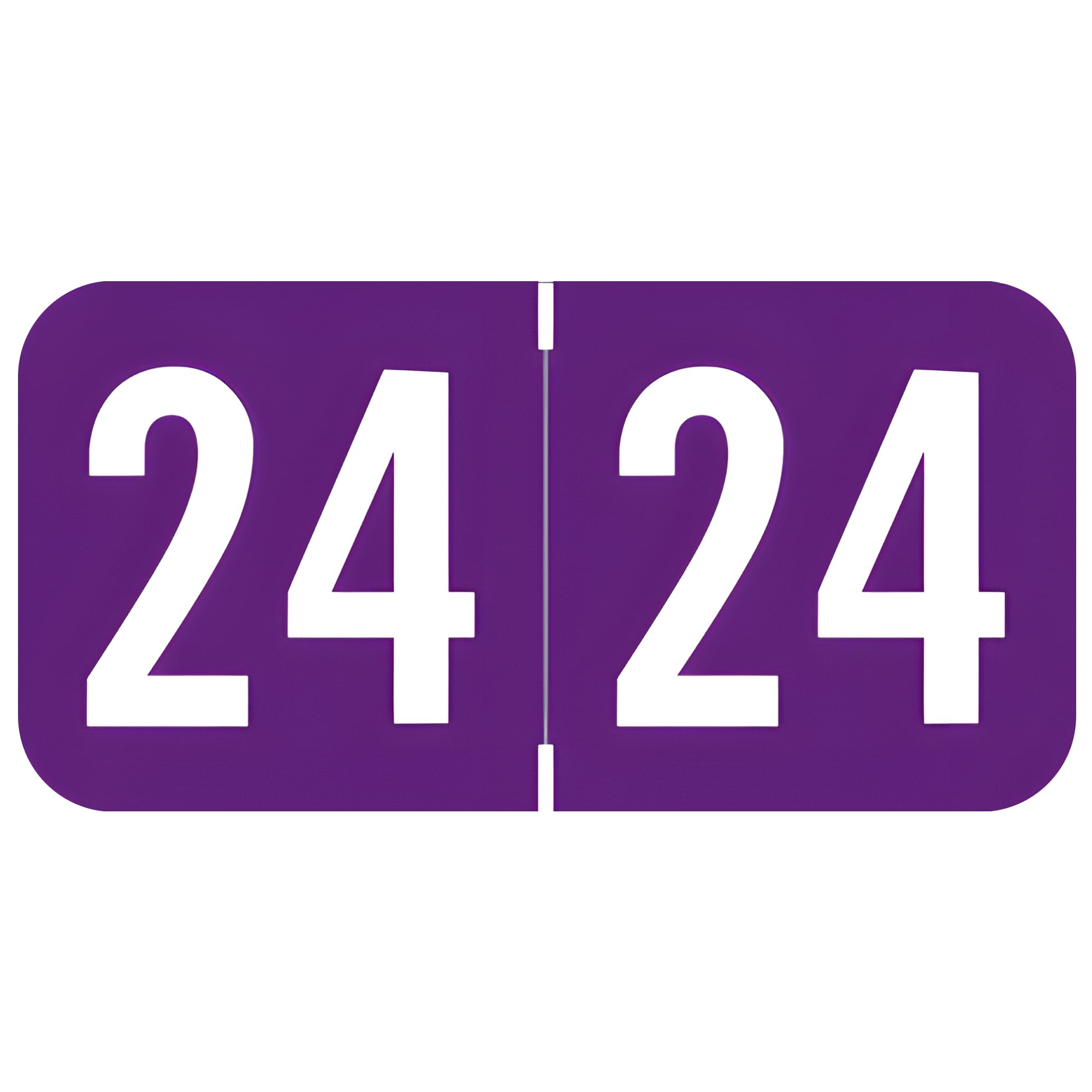 2024 Year Labels, Doctor Stuff, Purple Color Coded, S & W/Acme Style, USA Made Year Stickers for End Tab File Folders, 500/Roll, 1 Roll, 3/4