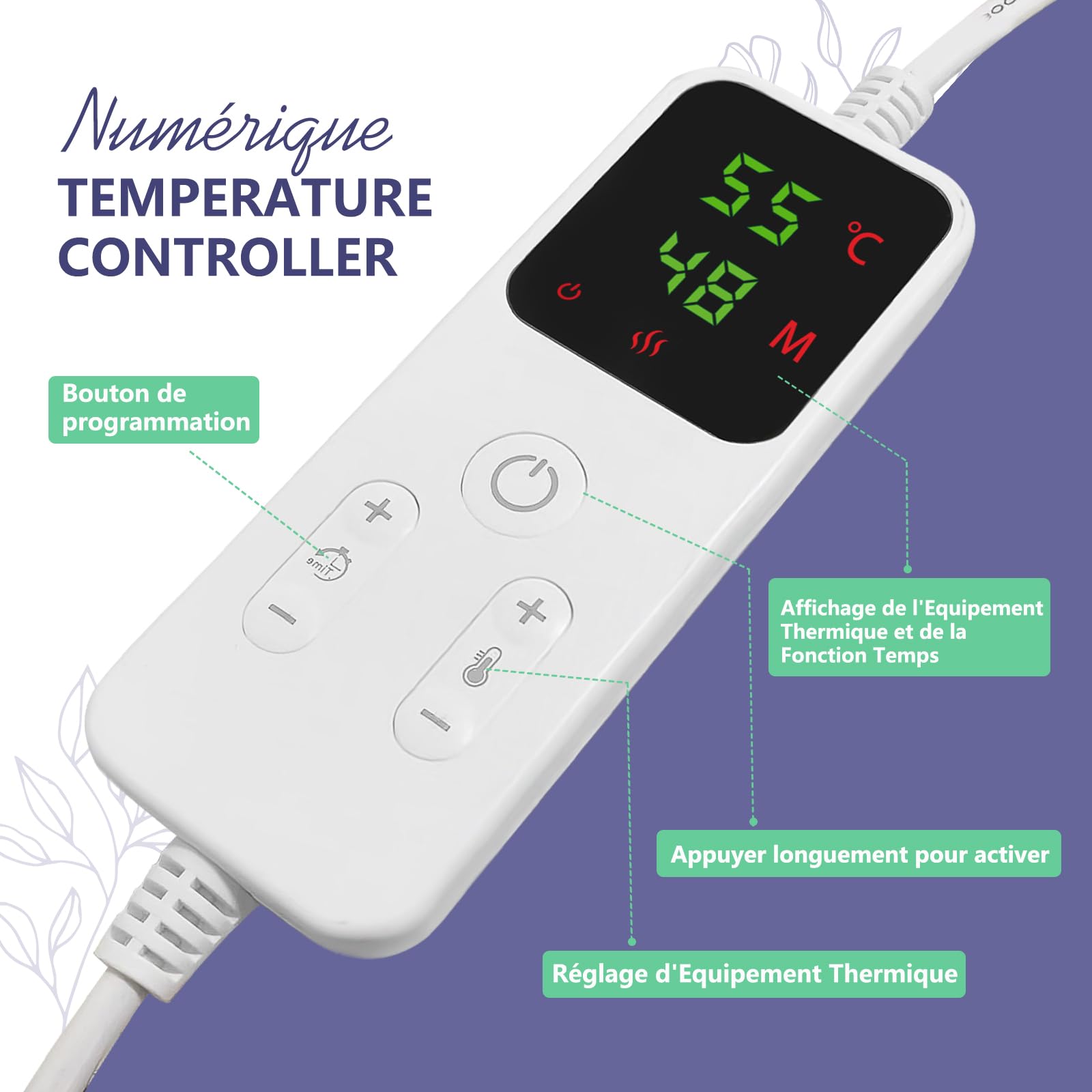 Kit Massage Pierres Chaudes, Réchauffeur Électrique 20 Pierres Basalte