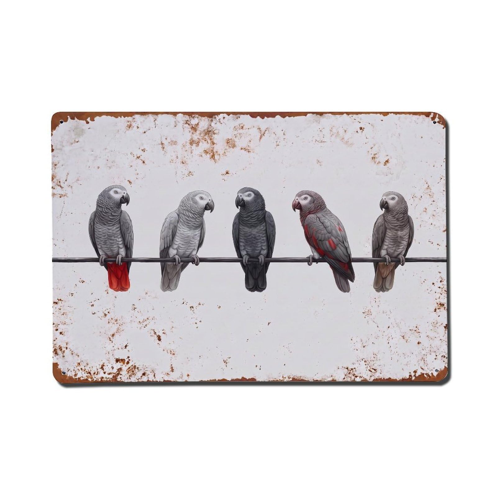 Vintage Retro Birds African Grey Parrot Metal Tin Sign