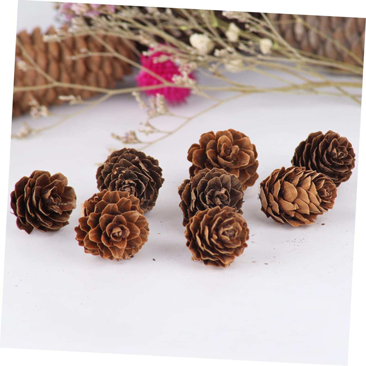 Ciieeo 210 Piezas Piñas Naturales Decoraciones de Piñas Secas Hogar para Acción de Gracias y Navidad Adorno Vegetal