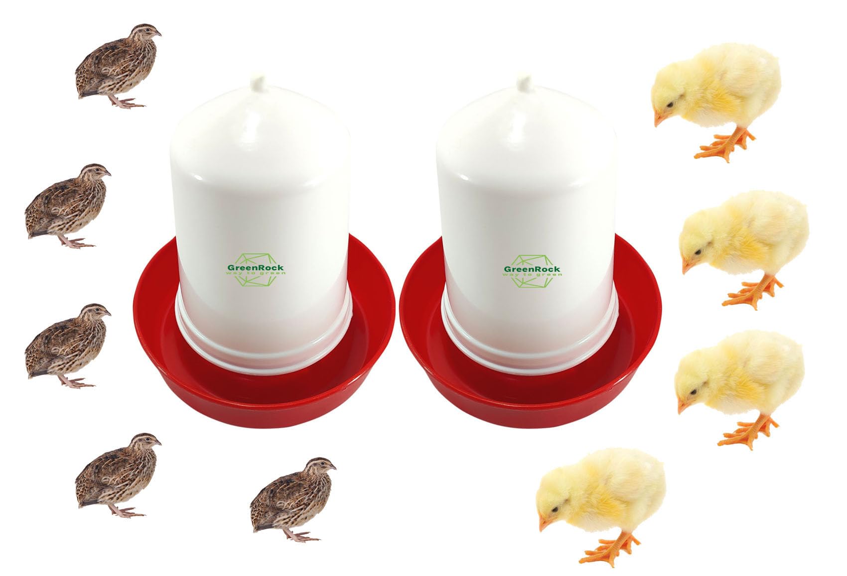 Greenrock Chick & Quail all Birds Food Feeder & Drinker Combo 500 grams capacity Ground Bird Feeder (Pack of 2) (B0D8VZ1B79) Amazon Price History, Amazon Price Tracker