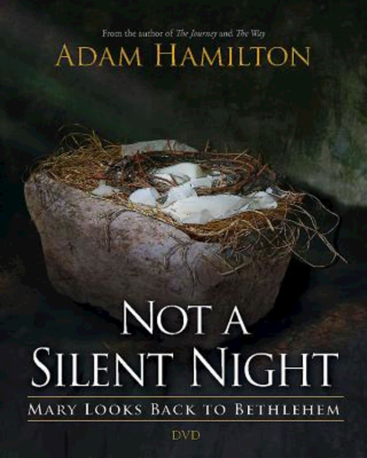 Buy Not a Silent Night: Mary Looks Back to Bethlehem — BookShops.in