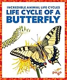 Life Cycle of a Butterfly