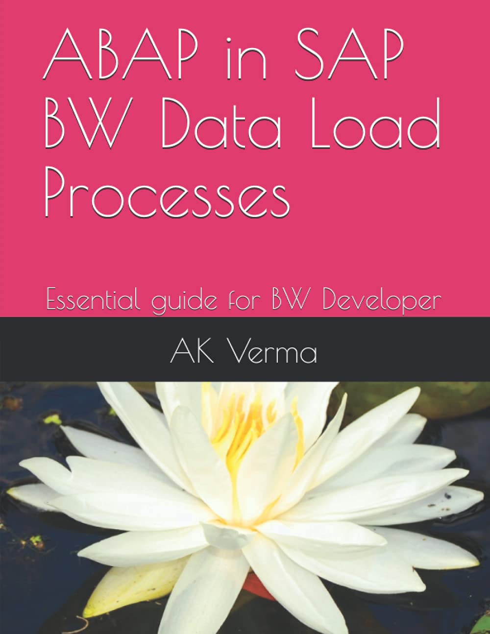 ABAP in SAP BW Data Load Processes: Essential guide for BW Developer (SAP BW BASICS)