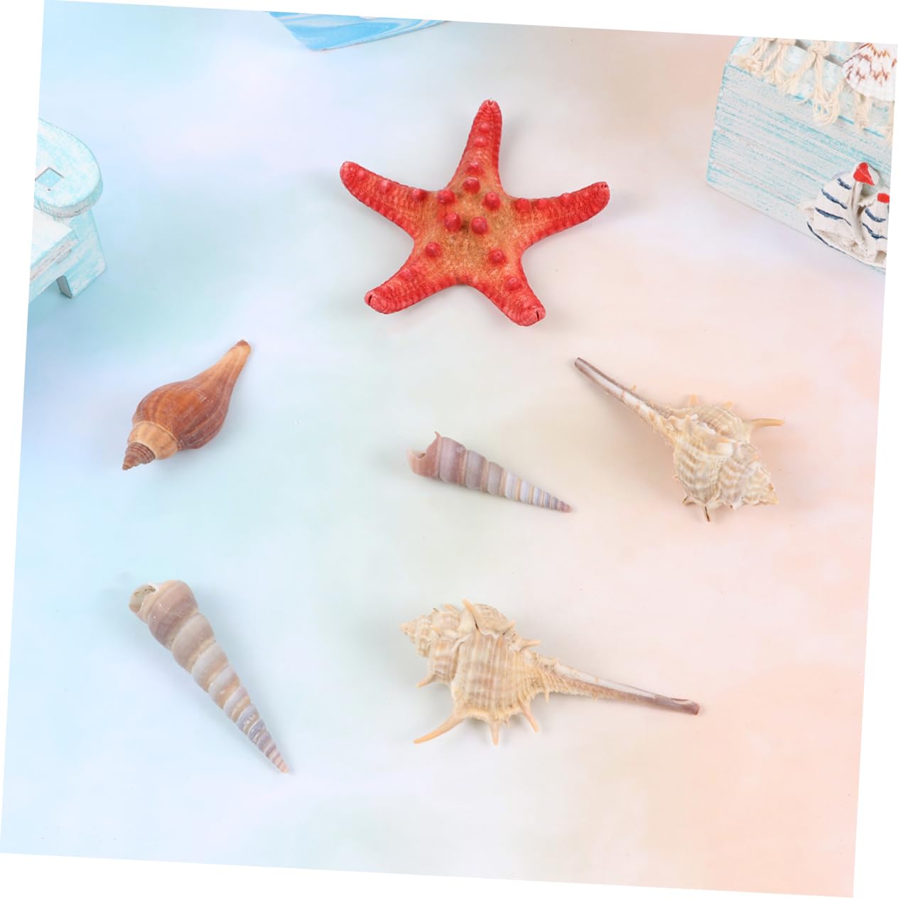 GOOHOCHY Sea Shells Combination for DIY for Craft Projects Decor Party Props (350g)