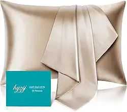 Fronha de seda amoreira para cabelo e pele tamanho padrão 50 x 66 cm com zíper oculto, mais macio do que as fronhas de seda, capas de travesseiro Queen suaves para dormir (ouro champanhe, padrão, 1