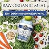 Garden-of-Life-Raw-Organic-Meal-Replacement-Powder-14-Servings-20g-Plant-Based-Protein-Powder-Vanilla Garden of Life Vegan Protein Powder - Raw Organic Meal Replacement Shakes - Vanilla - Pea Protein, Greens and Probiotics for Women and Men, Plant Based Dairy Free All in One Shake, 14 Servings