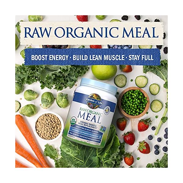 Garden-of-Life-Raw-Organic-Meal-Replacement-Powder-14-Servings-20g-Plant-Based-Protein-Powder-Vanilla Garden of Life Vegan Protein Powder - Raw Organic Meal Replacement Shakes - Vanilla - Pea Protein, Greens and Probiotics for Women and Men, Plant Based Dairy Free All in One Shake, 14 Servings