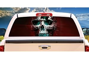 Cracked Rear View Vinyl Skull Graphic