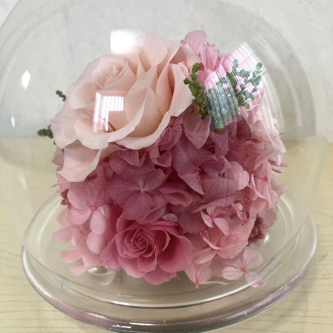 Amazon.co.jp: プリザーブドフラワー ガラスドーム Belles Fleurs Amazon.co.jp: プリザーブドフラワー ガラスドーム Belles Fleurs