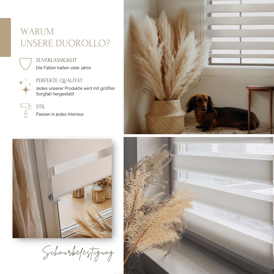 Home-Vision Premium DuoRollo Klemmfix ohne Bohren mit Klemmträgern Doppelrollo für Fenster & Türen (Weiß B80cm x H220cm) Lichtschutz Tag & Nacht Rollos einfache Montage