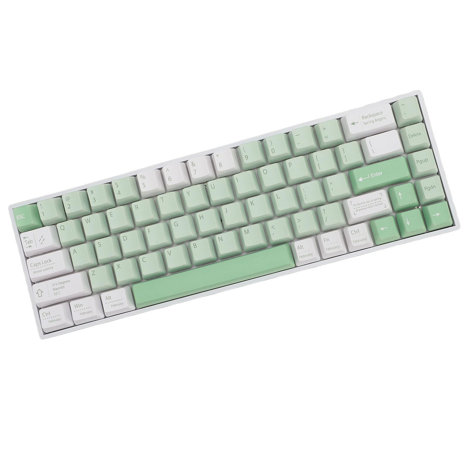 Sxhlseller Tastiera Meccanica a 68 Tasti, Tastiera da Gioco Wireless Bluetooth 3.0 5.0 Tipo C Cablata RGB Retroilluminata Al 60% con Interruttore Blu e Batteria Al Litio da 3000 MAh