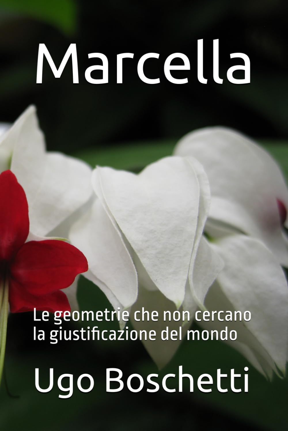 Marcella: Le geometrie che non cercano la giustificazione del mondo