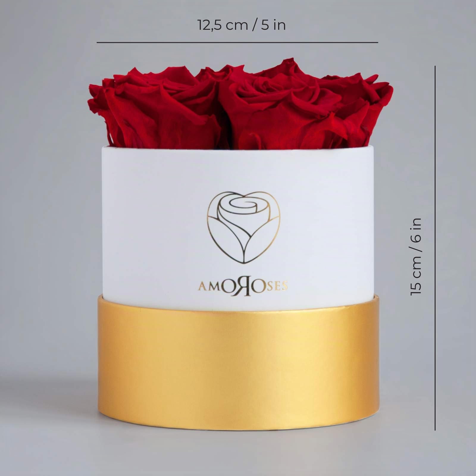 Amoroses Petite - Caja de Regalo 5 Rosas Eternas Estabilizadas - Elegante Ramo de Flores Reales | Idea de regalo (Petite Caja Blanca con Rosas Rojas)