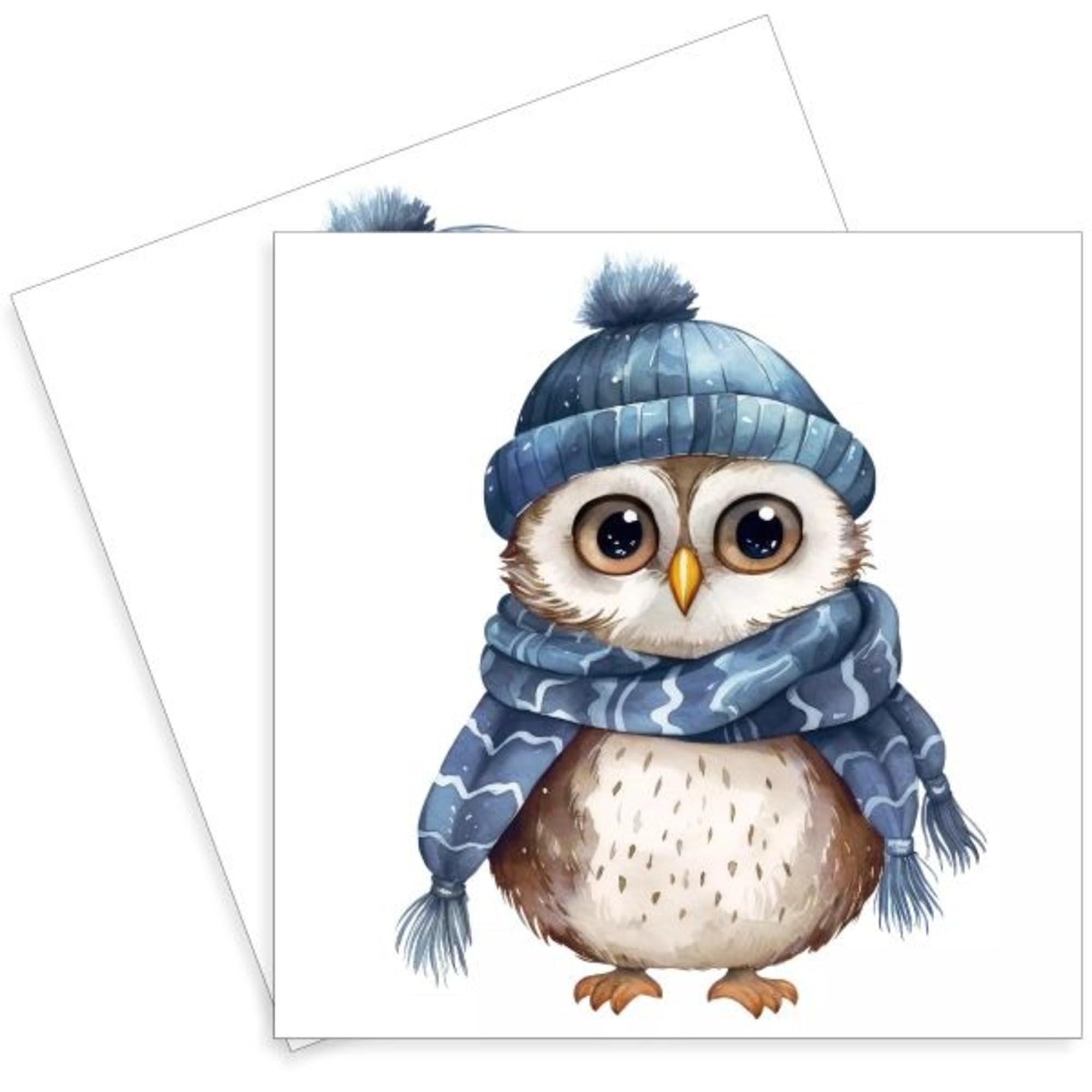 Set of 2 Individual Decoupage Paper Party Napkin Christmas Winter Owl Scar & Hat Watercolor Decor Luncheon Napkins for a Birthday Holiday, Wedding, Cocktail Party