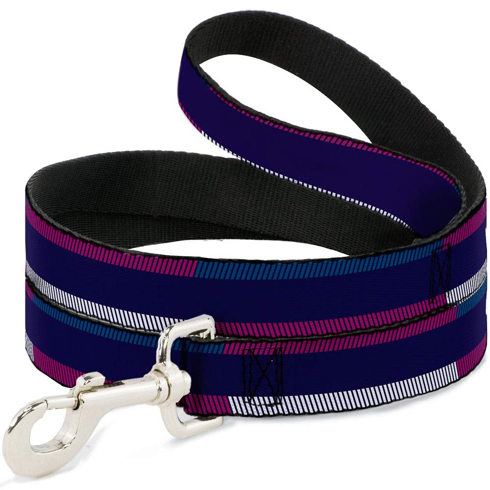 Laisse pour animal Buckle-Down colorée pour des promenades dynamiques en ville et au parc