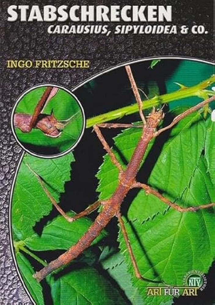 Stabschrecken: Carausius, Sipyloidea & Co. (Buchreihe Art für Art Terraristik)