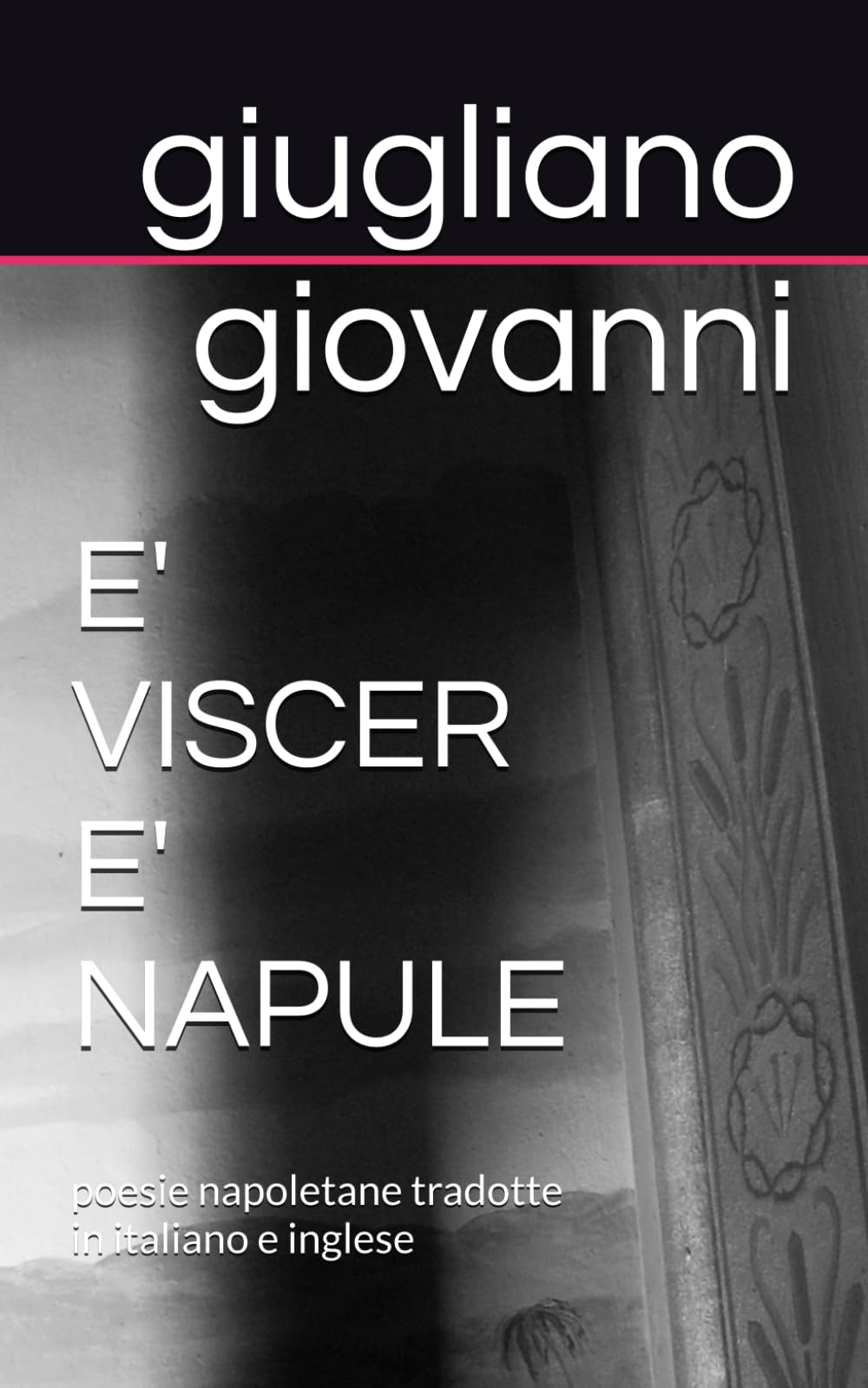 poesie napoletane-E' viscer' e' napule: poesie napoletane tradotte in italiano e inglese ("SCOLPITO NELL'ONESTA'"-ONESTA' RABBIA SERPENTI-ONESTA' TRADITA RABBIA-RABBIA ORIGINA SERPENTI)