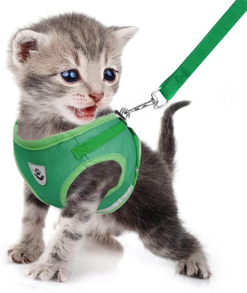 Miniatura 2 de FEimaX Juego de arnés y correa para perro, malla suave, ajustable, fácil de controlar, chaleco ligero para gatos con tiras reflectantes, a prueba de