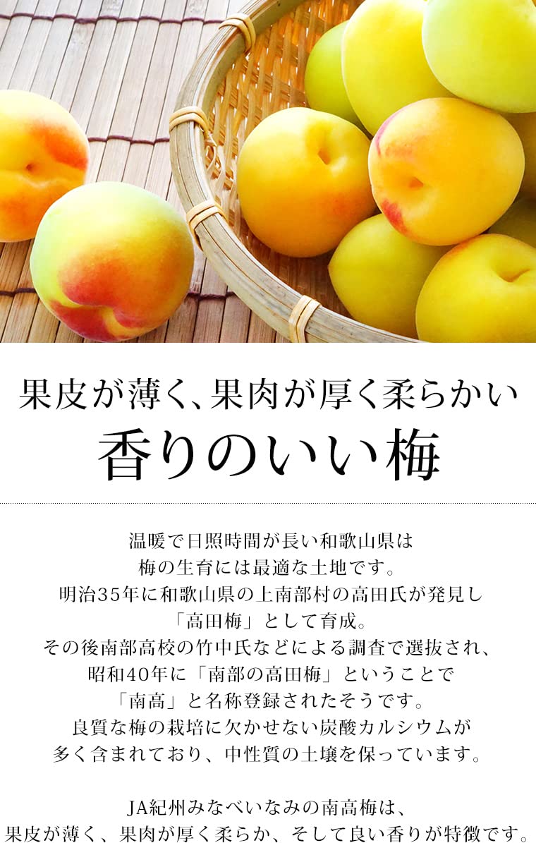 Amazon.co.jp: 梅 南高梅 秀品 約10kg 3Lサイズ 和歌山県産 JA紀州