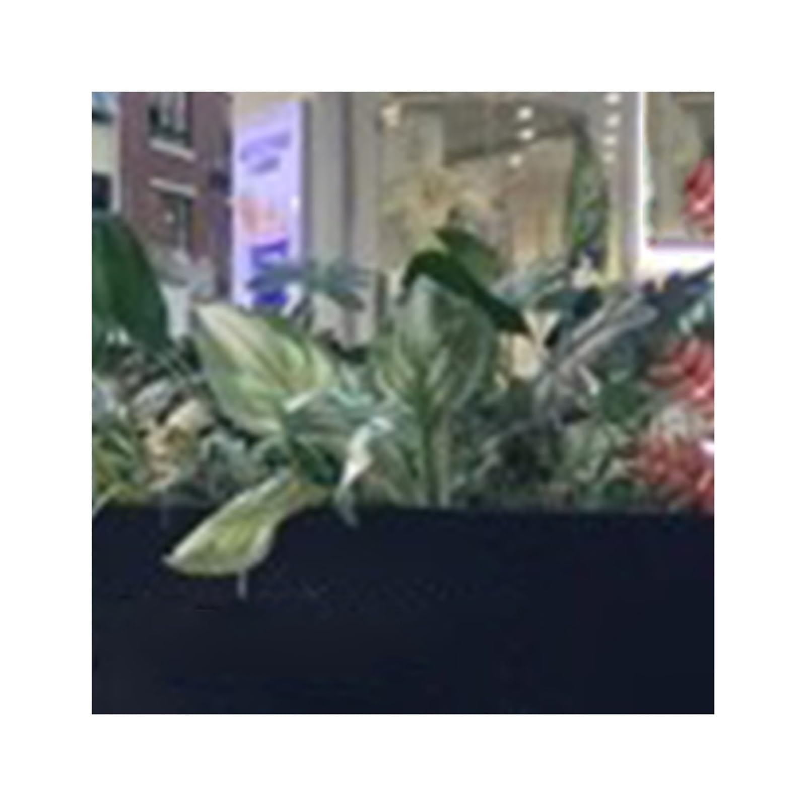 Flowerbox z ławką Zewnętrzna Skrzynka Na Kwiaty Kwietnik Uliczny Koryto Z Kwiatami Odsłonięta Skrzynka Na Nasiona Ogrodzenie Przegroda Kwadratowa Skrzynka Na Drzewo