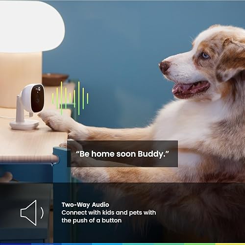 Miniatura 4 de Chamberlain myQ - Cámara de seguridad inteligente para interiores, video HD de 1080p, visión nocturna, detección de movimiento, Wi-Fi, audio