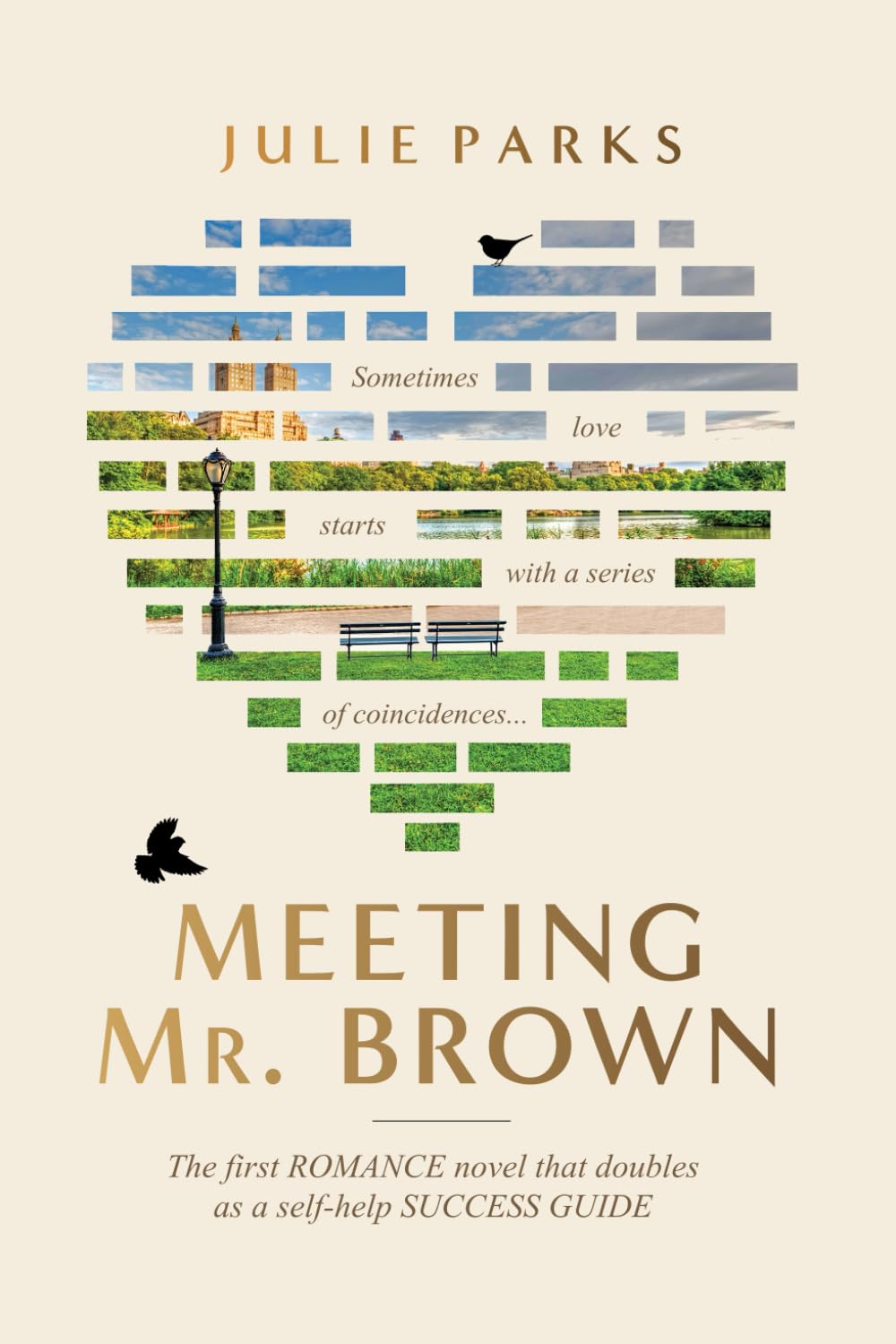 Meeting Mr. Brown: The first ROMANCE novel that doubles as a self-help SUCCESS GUIDE
