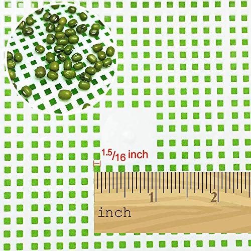 BIGHAVE Seed Sprouter Tray with Lid BPA Free Bean Sprout Grower Germination Kit Wheatgrass Grower