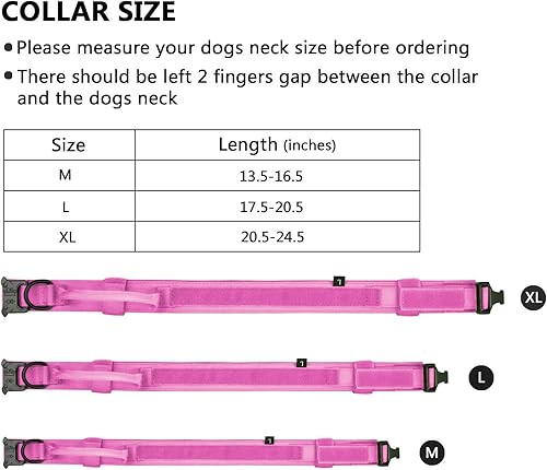 Miniatura 3 de DAGANXI Collar táctico para perro, collar ajustable de nailon para entrenamiento militar con asa de control y hebilla de metal pesado para perros